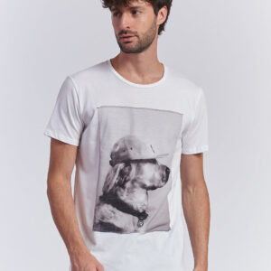 hu107_tshirt-golden-retriever_bianco Druck T-SHIRT AUS JERSEY MIT GOLDEN RETRIEVER-PRINT |