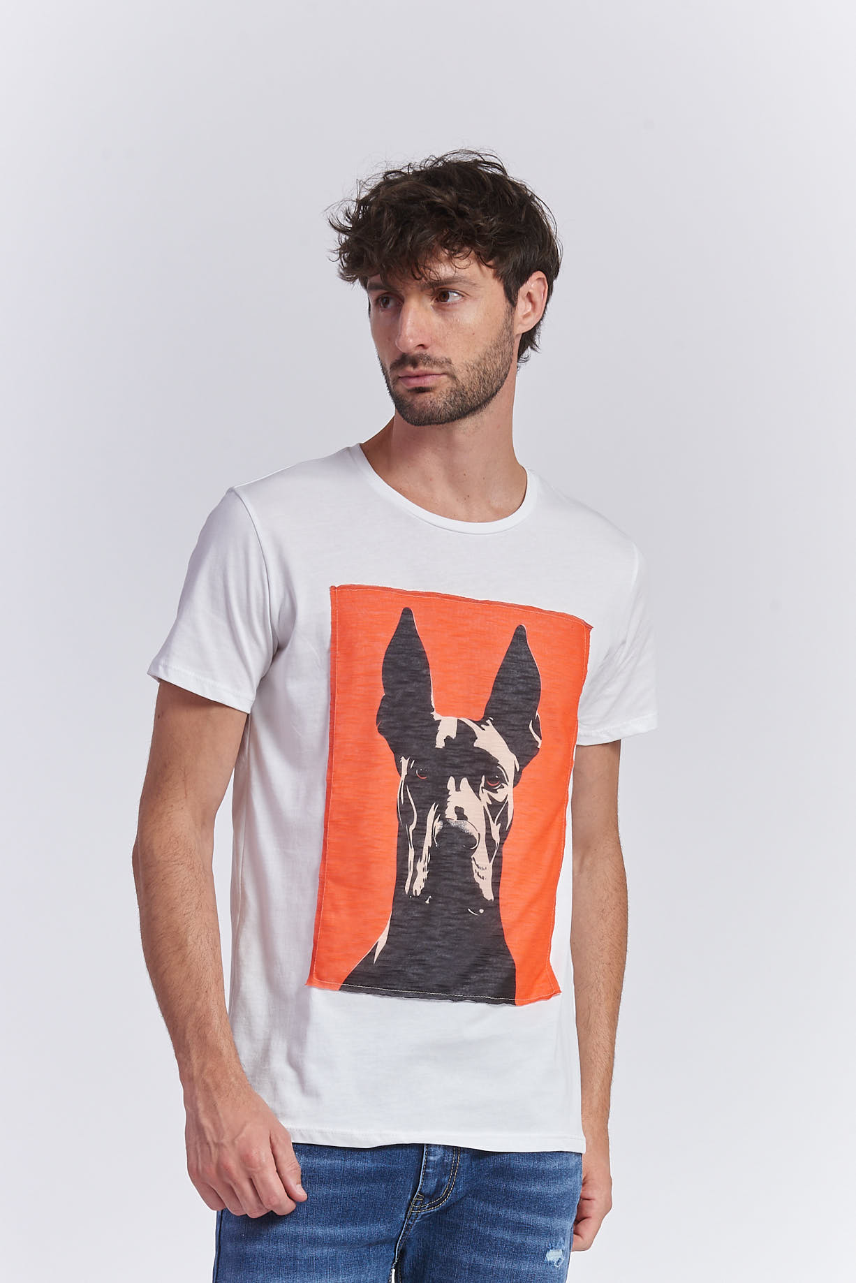 JERSEY-T-SHIRT MIT DOBERMANN-PRINT