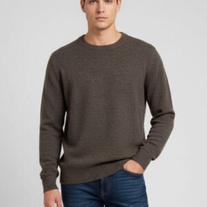 BASIC-PULLOVER MIT ROLLKRAGENPULLOVER |