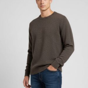 BASIC-PULLOVER MIT ROLLKRAGENPULLOVER |